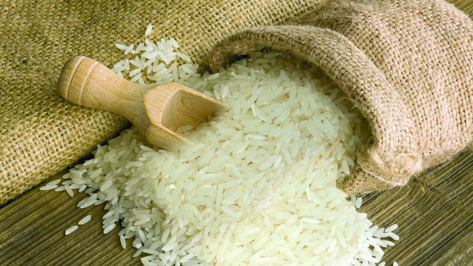 Kết quả hình ảnh cho hạt gạo