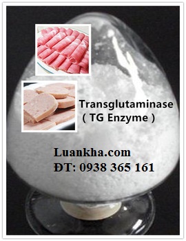 enzyme TG trong xúc xích