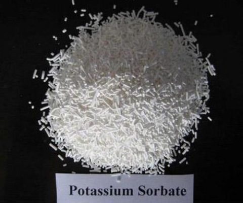 Mua Kali sorbate ở đâu?