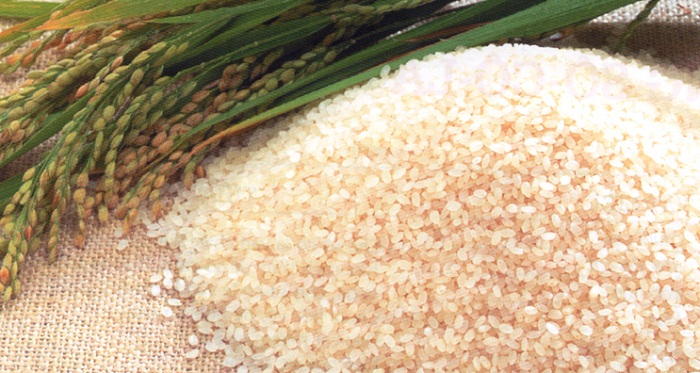 Đại lý cung cấp gạo Nếp Cái Hoa Vàng tận nhà tại Đồng Nai giá tận gốc