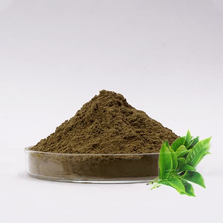 Bột chiết xuất trà xanh (Instant Green tea Powder) - Lime Việt Nam
