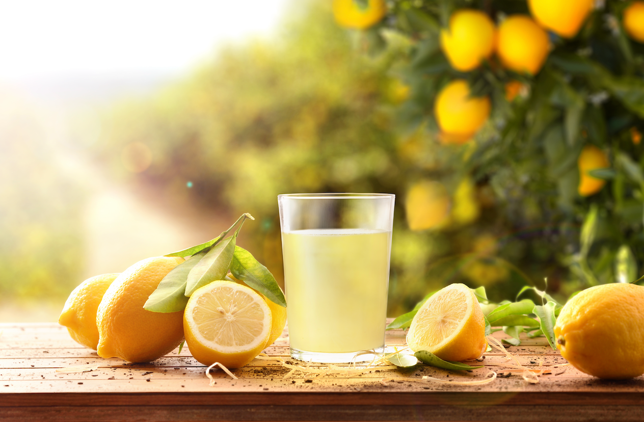 Meyer Lemon Trees: 7 Secrets for Tons of Fruit – FastGrowingTrees.com