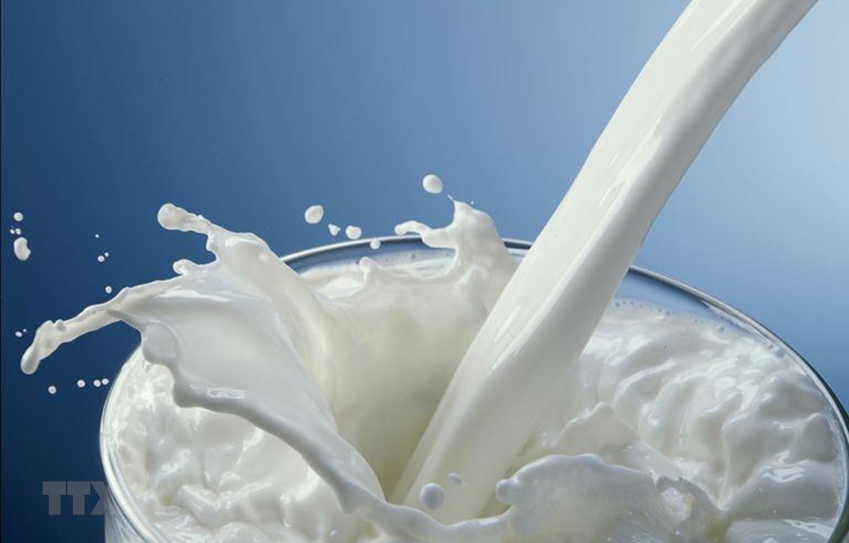 Australia sản xuất sữa tươi có thời hạn sử dụng ít nhất 2 tháng | Khoa học ứng dụng | Vietnam+ (VietnamPlus)