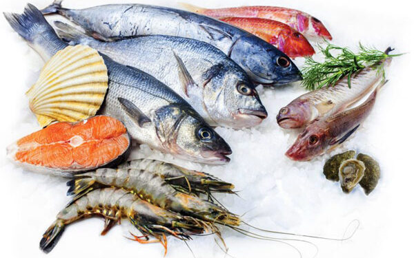 Cách bảo quản thịt cá trong tủ lạnh chi tiết - Ghiền Ẩm Thực