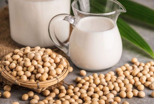 soy protein